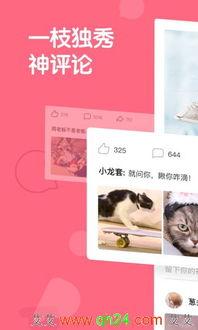 关于皮皮虾的搞笑段子