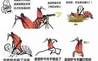 关于皮皮虾的搞笑段子